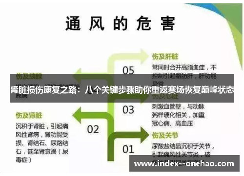 肾脏损伤康复之路：八个关键步骤助你重返赛场恢复巅峰状态