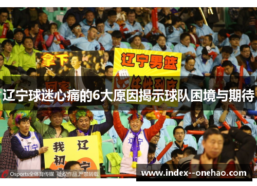 辽宁球迷心痛的6大原因揭示球队困境与期待 辽宁球迷心痛的6大原因揭示球队困境与期待